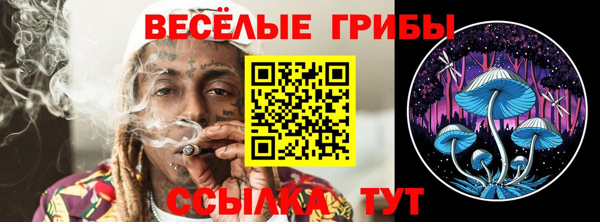 Галлюциногенные грибы Psilocybe Старый Оскол